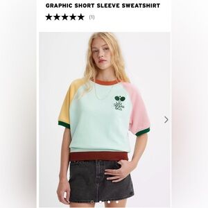 Levi's Graphic Short Sleeve Sweatshirt, Large, Pastel Colorblock